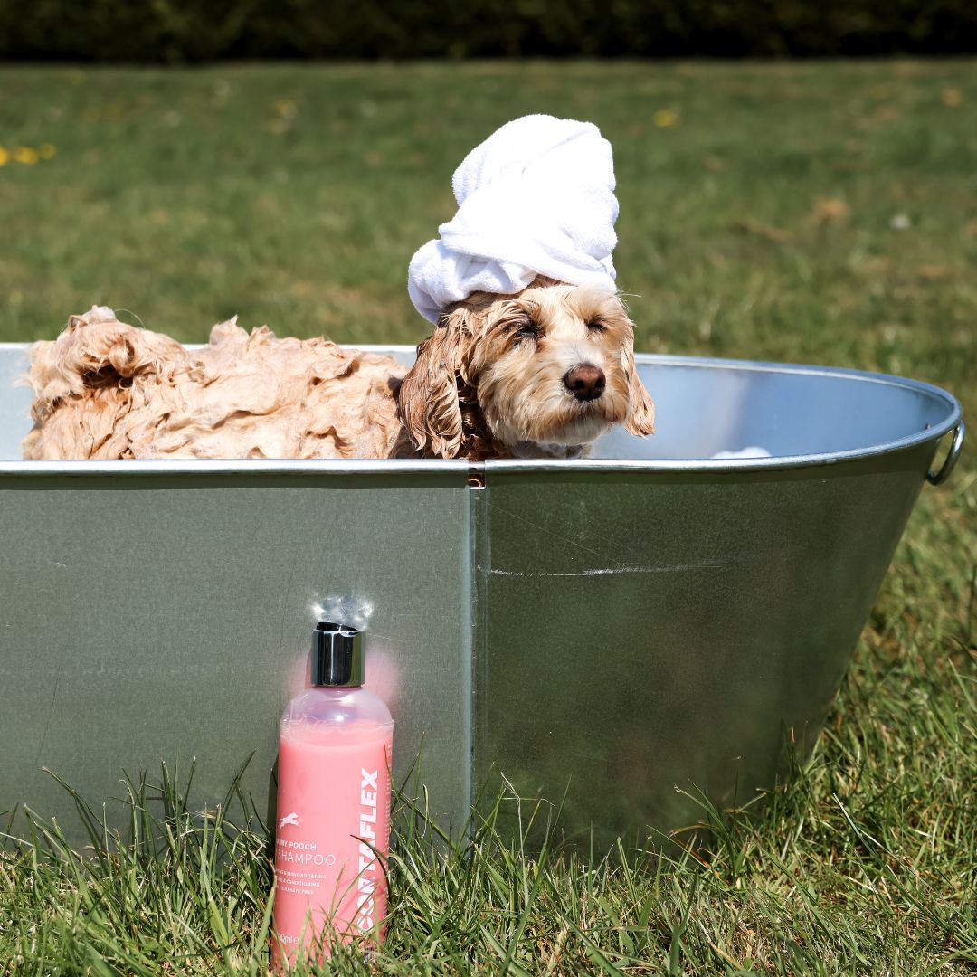 Pink My Pooch - Dog Shampoo 500ml