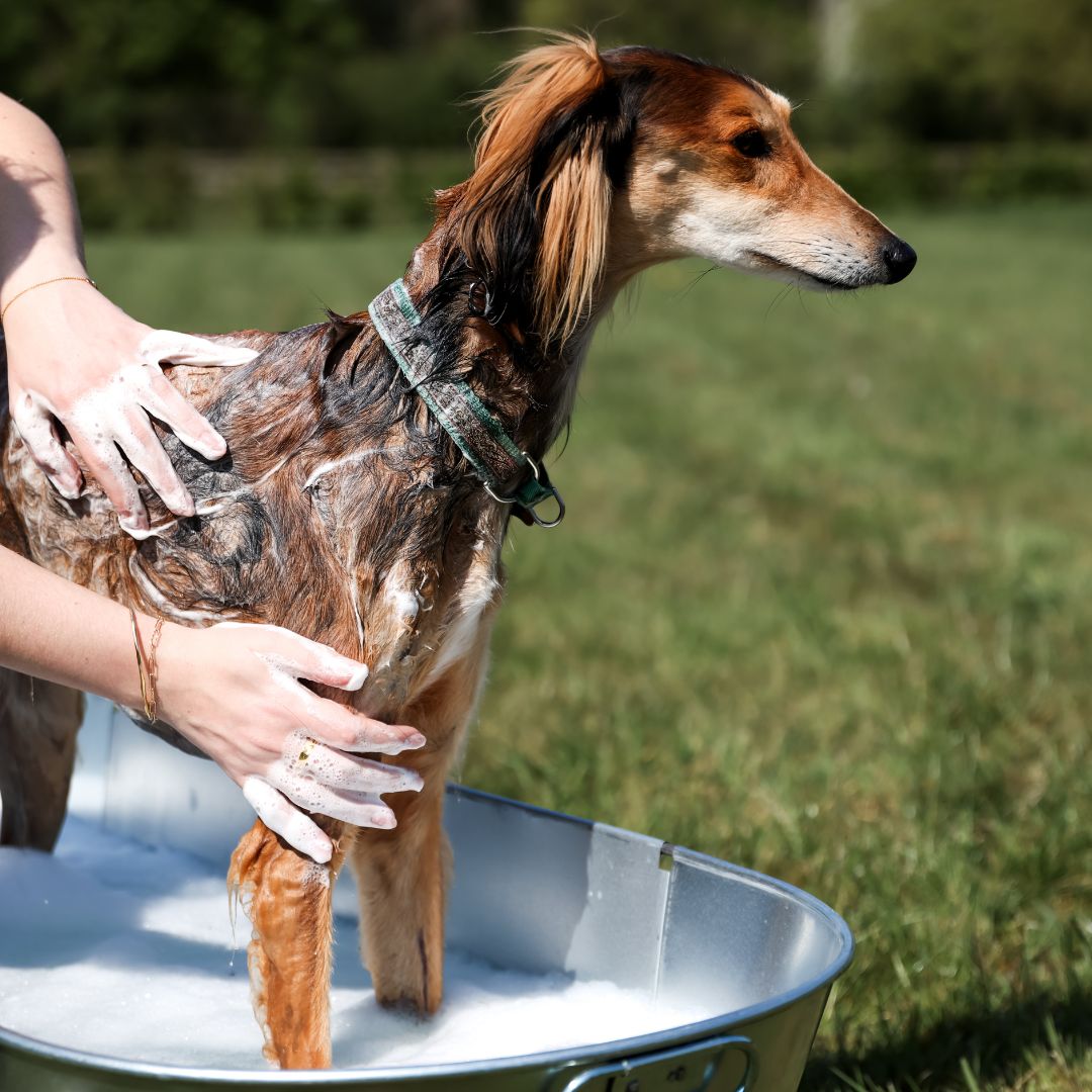 Oat-So-Soothing Dog Shampoo 500ml
