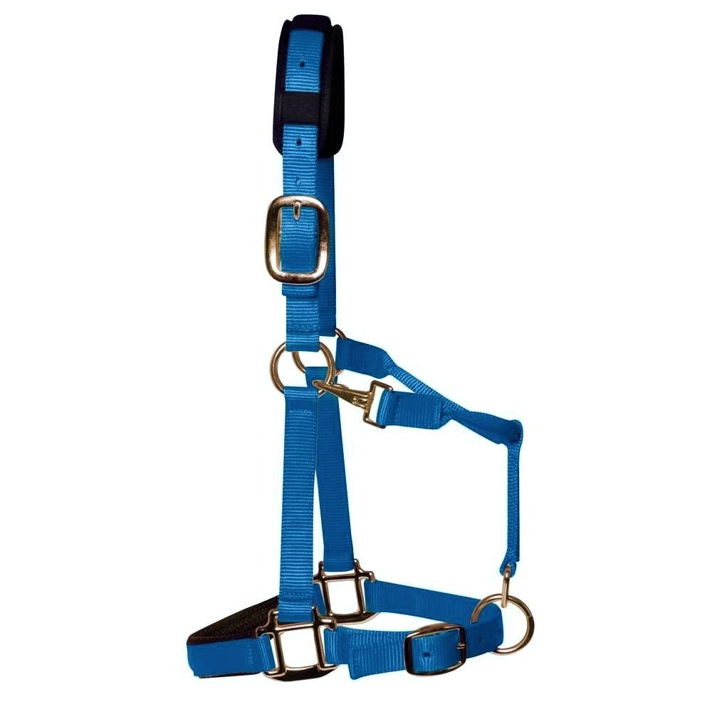 KM Elite Padded Headcollar Teal Blue