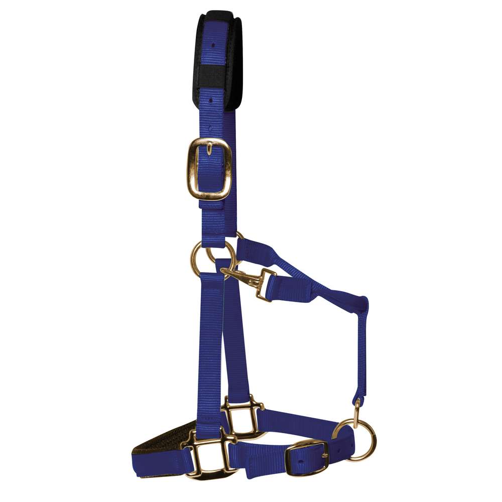 KM Elite Padded Headcollar Royal Blue