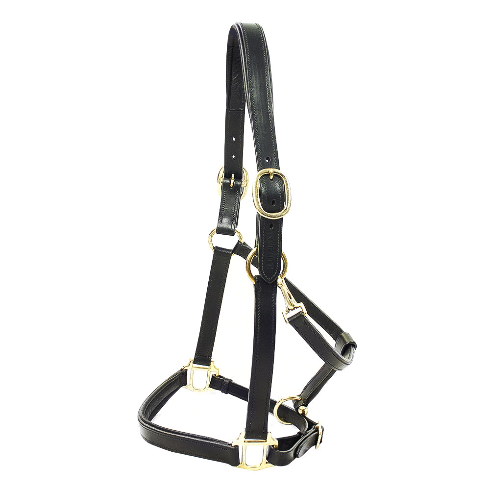 KM Elite Padded Leather Headcollar Black