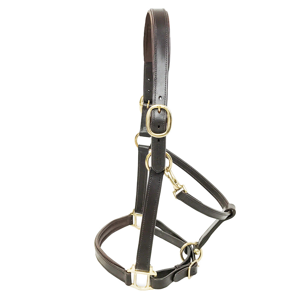 KM Elite Padded Leather Headcollar Havana