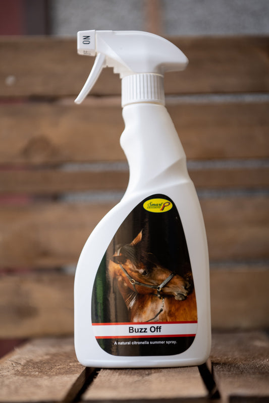 Buzz Off Summer Spray