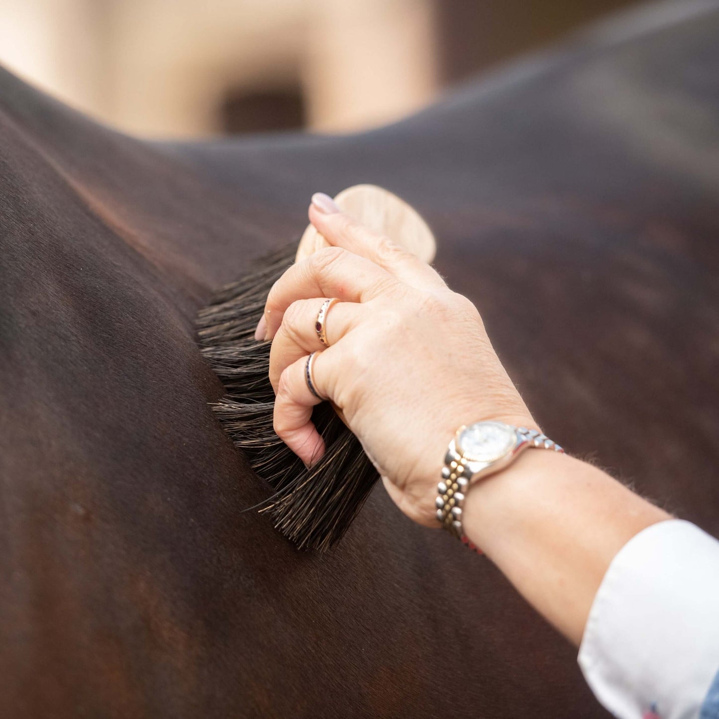 Borstiq Banana Arenga brush