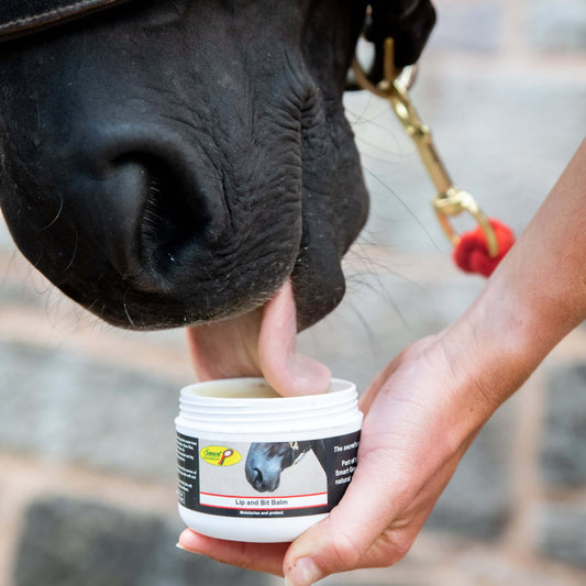 Lip and Bit Balm 120g