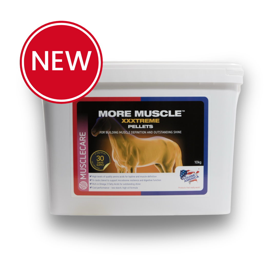 More Muscle xxxtreme 10kg