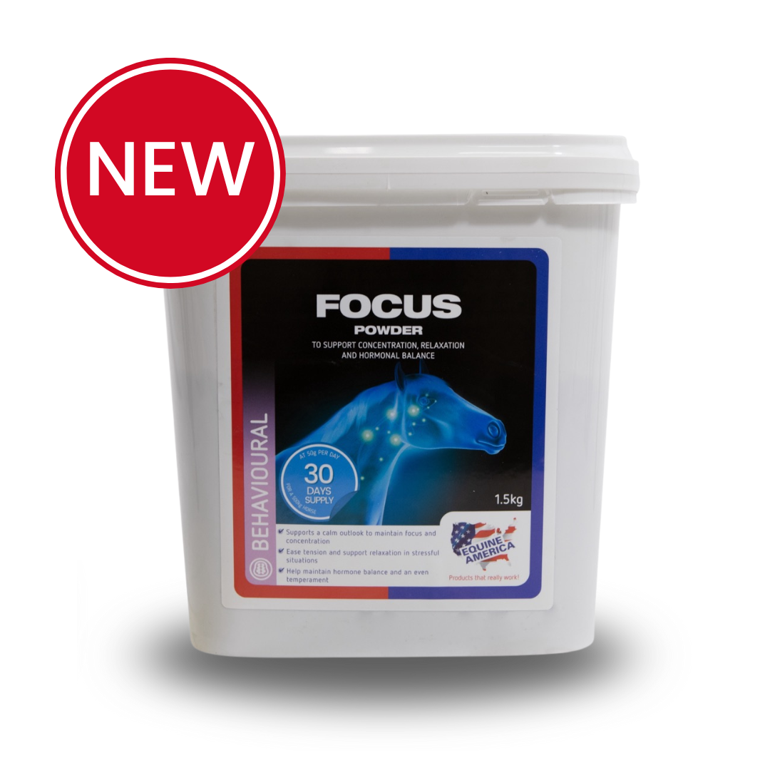 NEW Focus Powder 1.5kg