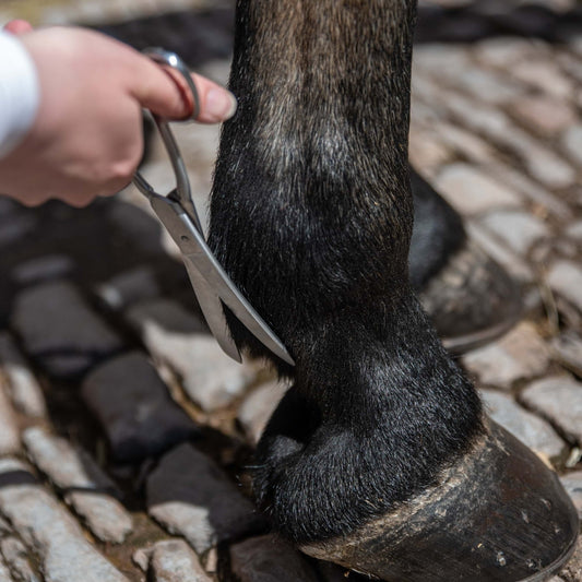 8"/20cm Fetlock Scissors