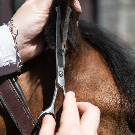 6.5"/16.5cm Curved Safety Scissors