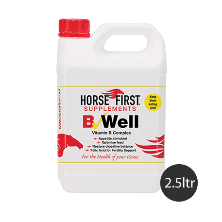 B Well - 2.5 Litre