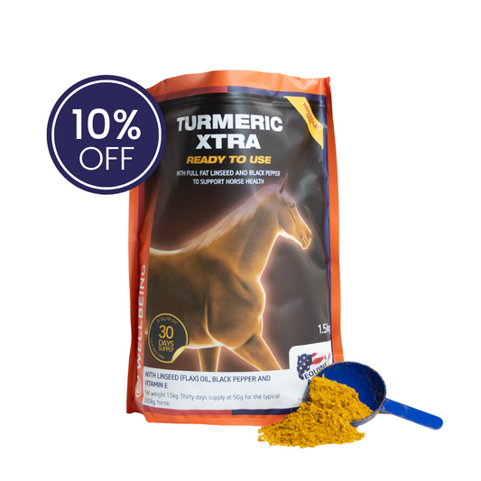 Turmeric Xtra