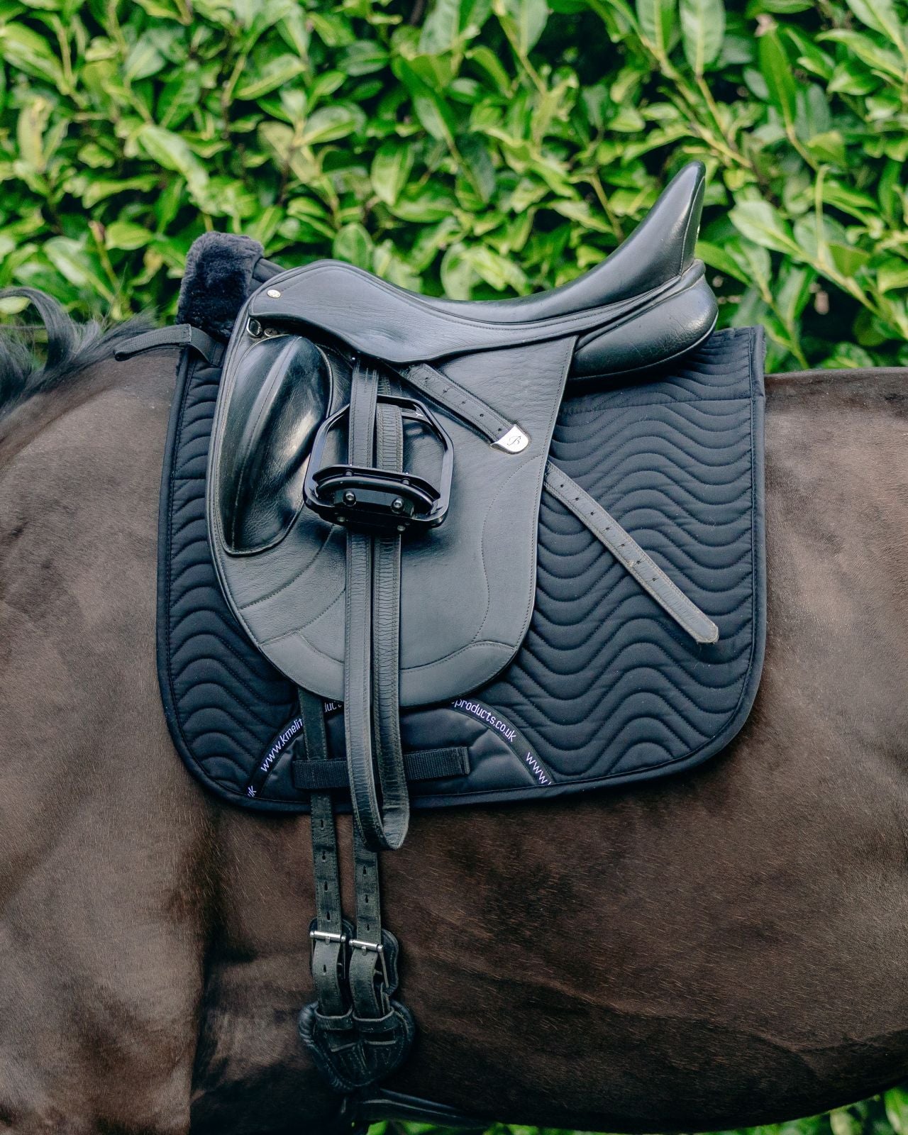 KM Elite Teddy Soft Half Lined Dressage Square