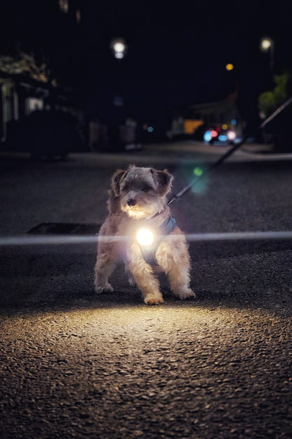 Meolinq LightPlus - PRE ORDER NOW!