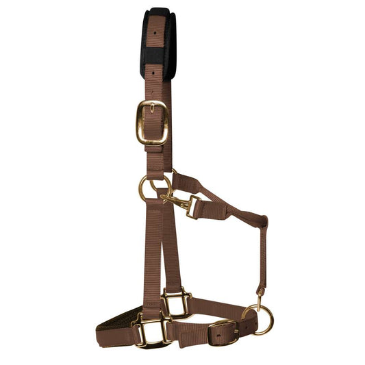 KM Elite Padded Headcollar Brown