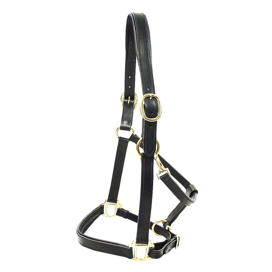 KM Elite Padded Leather Headcollar Black