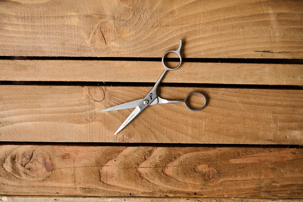 5"/12.5cm Pointed Scissors