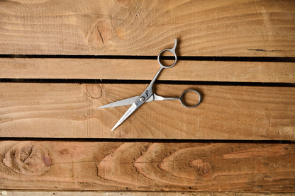 5"/12.5cm Pointed Scissors