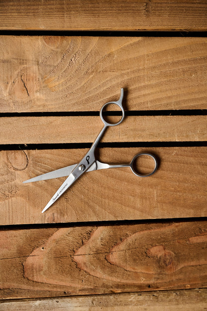 5"/12.5cm Pointed Scissors