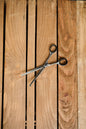6.5"/16.5cm Curved Safety Scissors