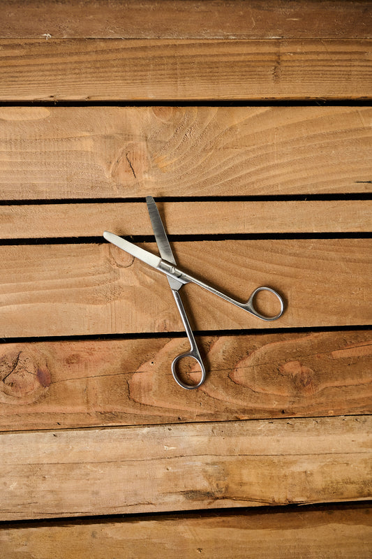 6"/15cm Curved Trimming Scissors