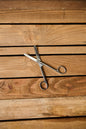 6"/15cm Curved Trimming Scissors