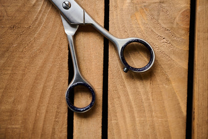 7.5"19cm Pointed Tail Scissors