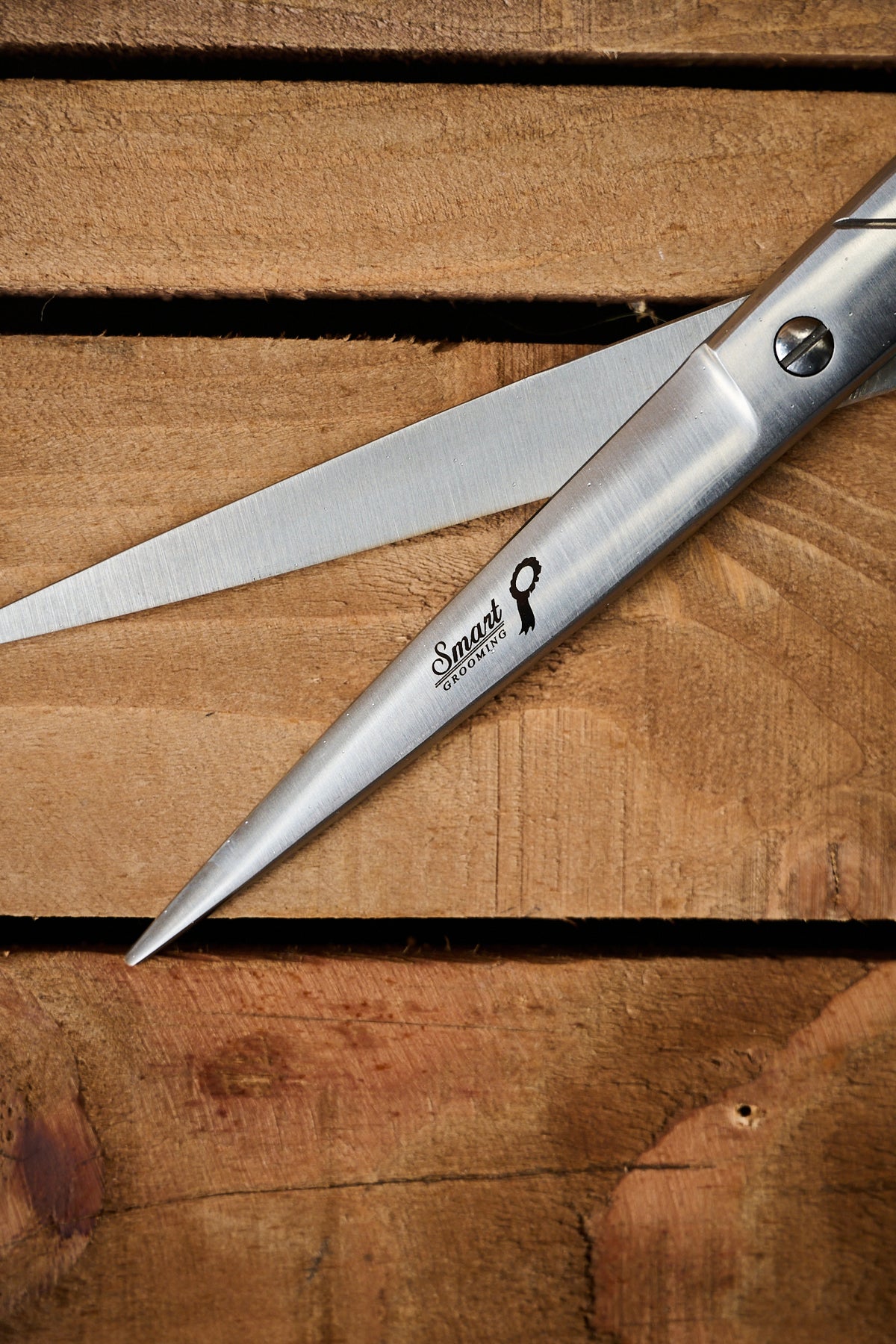 7.5"19cm Pointed Tail Scissors