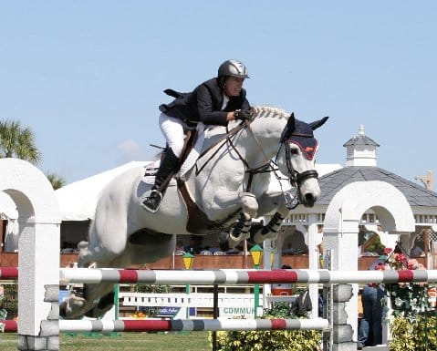 ThinLine Close Contact Euro Jumping Saddle Pad