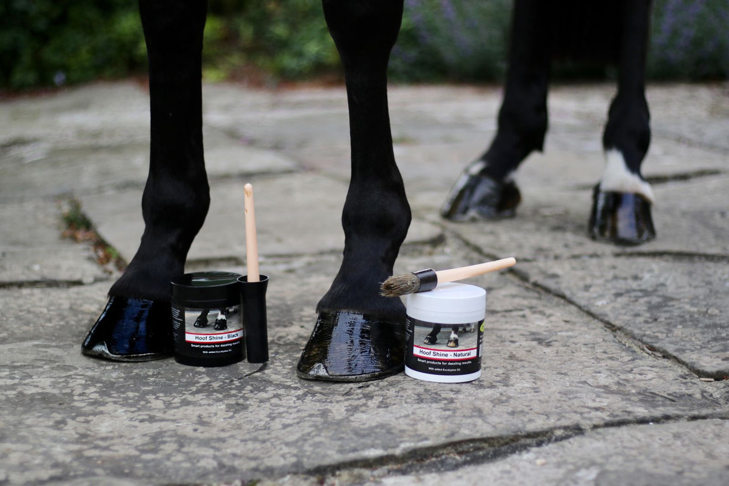 Hoof Shine 425g