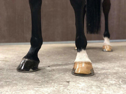 Hoof Shine 425g