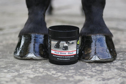 Hoof Shine 425g
