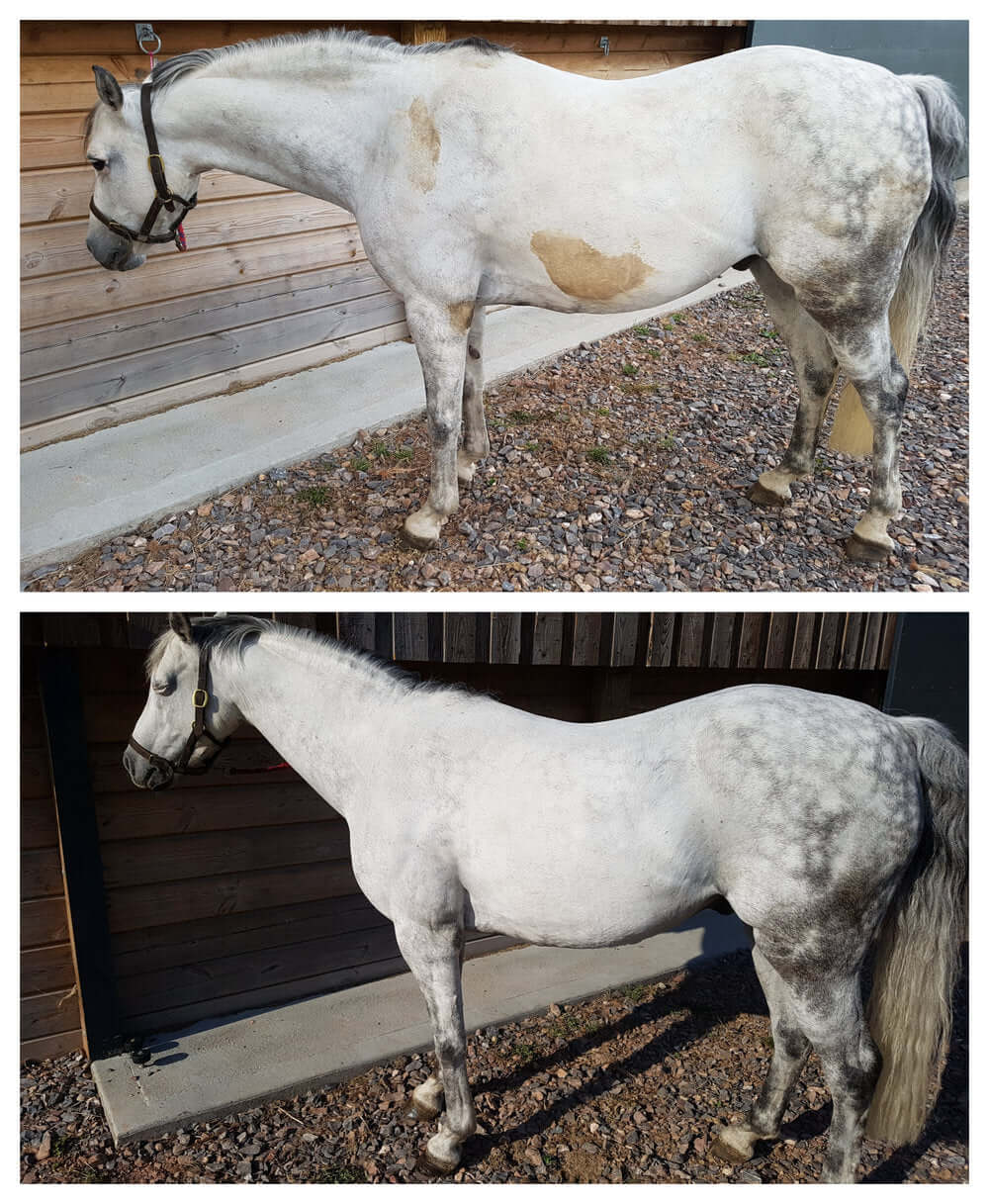 Polar White Stain Remover