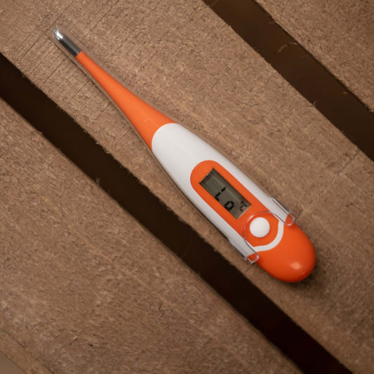 Digital Thermometer