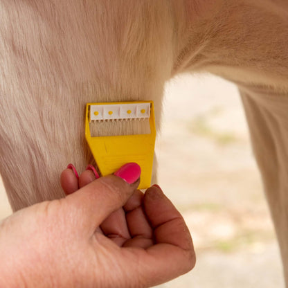 Equi-Shave Box of 50