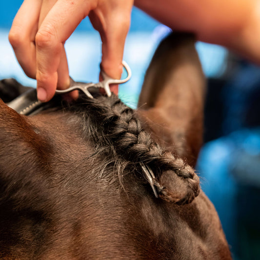 Forelock Plaiting Grippers