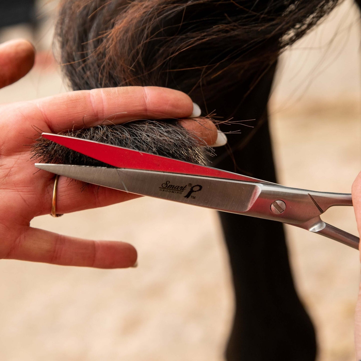 7.5"19cm Pointed Tail Scissors