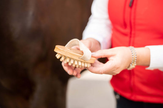 Borstiq Equine Massage Brush