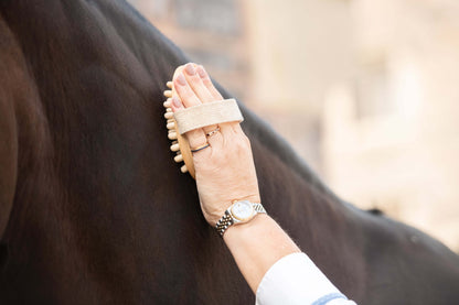 Borstiq Equine Massage Brush
