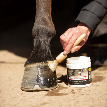 Hoof Shine 425g