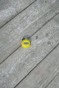 MeoTemp Temperature Sensor - PRE ORDER NOW!