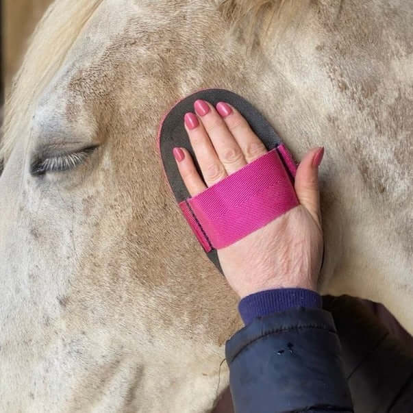 A person using a pink and black Super Groomer on a horse's head. The grooming tool is being applied gently against the horse's head, showing its flat, flexible design and the horse appears to be stationary.