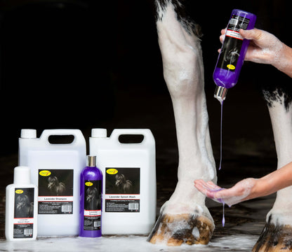 Lavender Splosh Wash