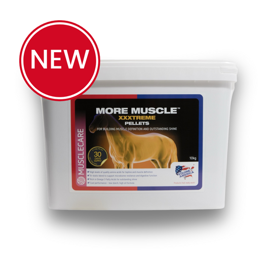 More Muscle xxxtreme 10kg