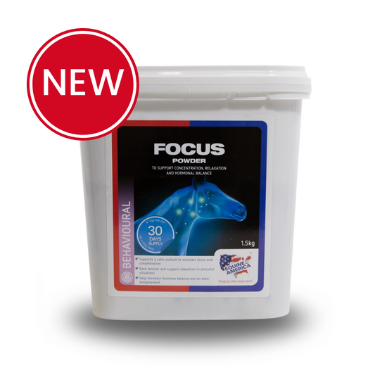 NEW Focus Powder 1.5kg