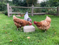 Pickblock Longlife 4 x 5kg