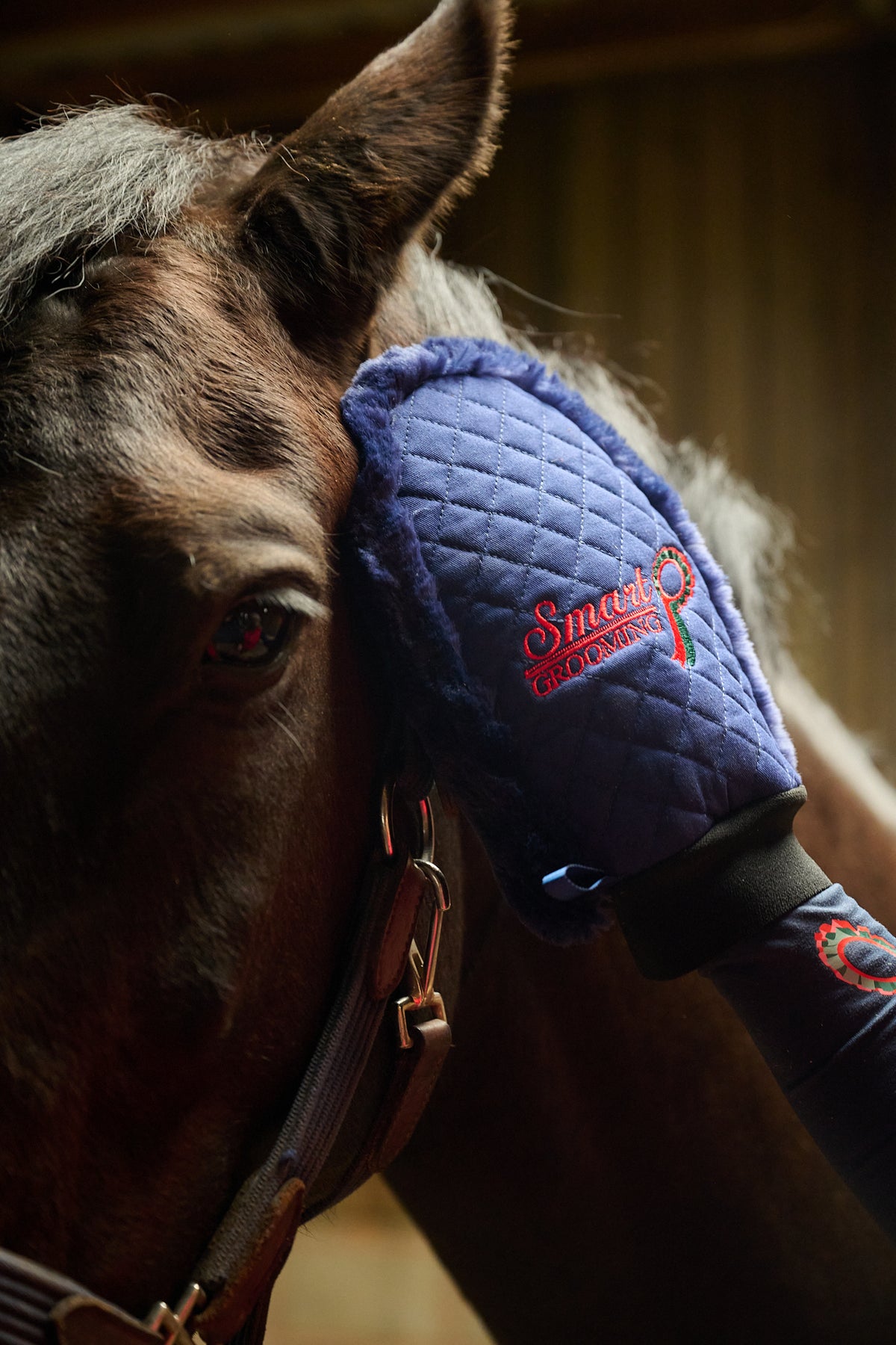 Quilted Grooming Mitt