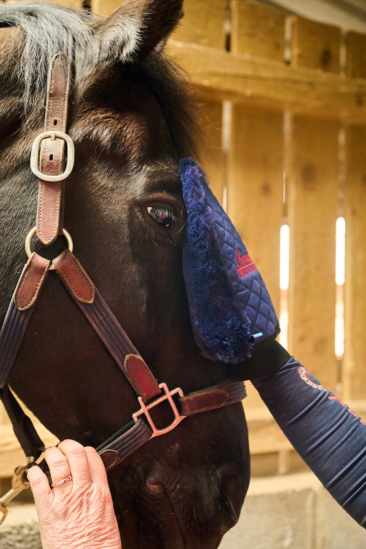 Quilted Grooming Mitt