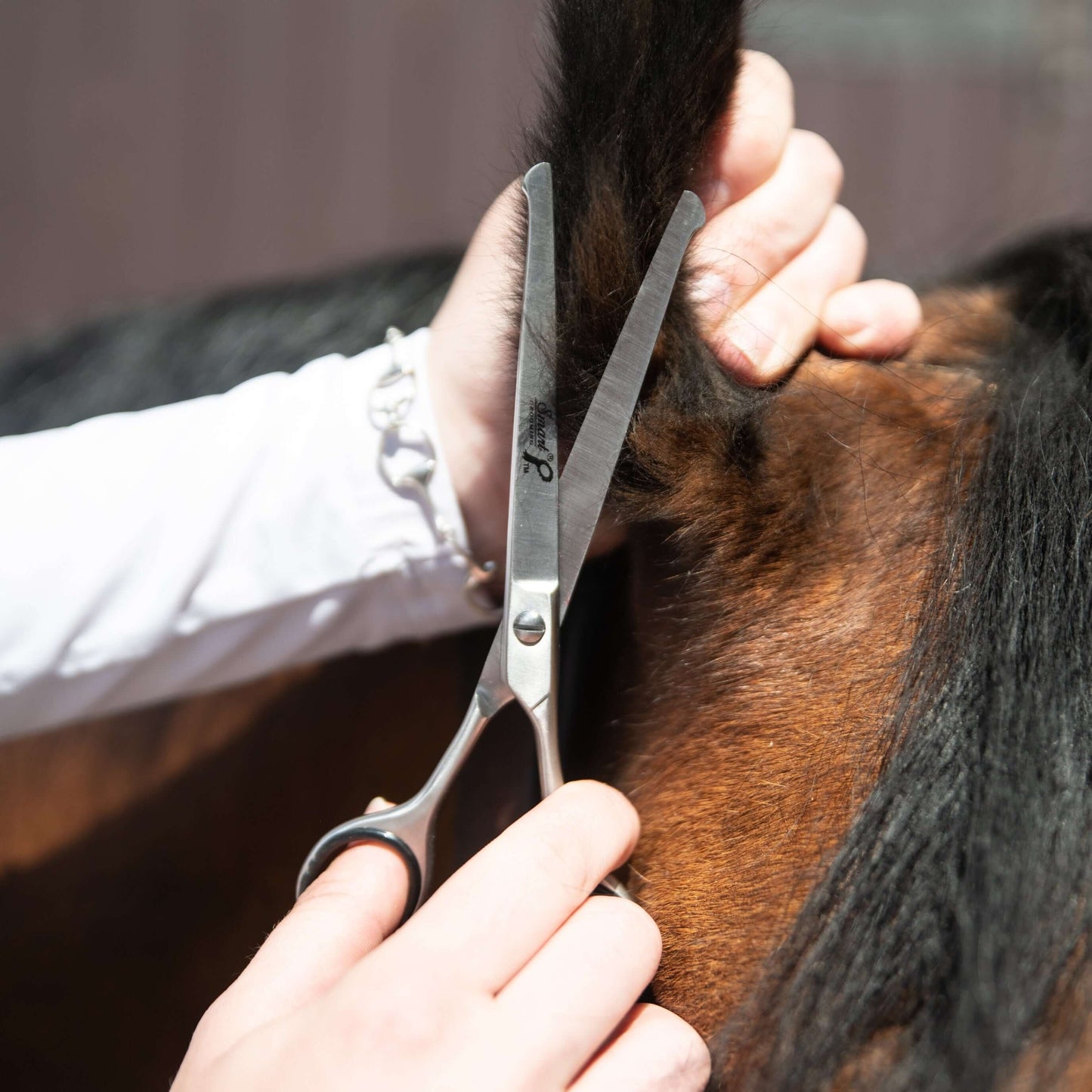 6.5"/16.5cm Curved Safety Scissors