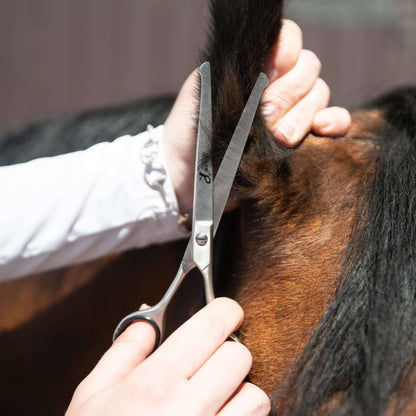 6.5"/16.5cm Curved Safety Scissors