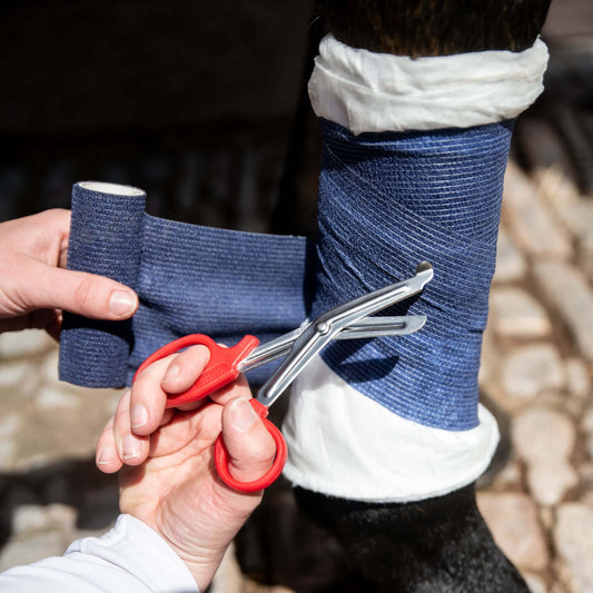 Bandage Cutting Scissors